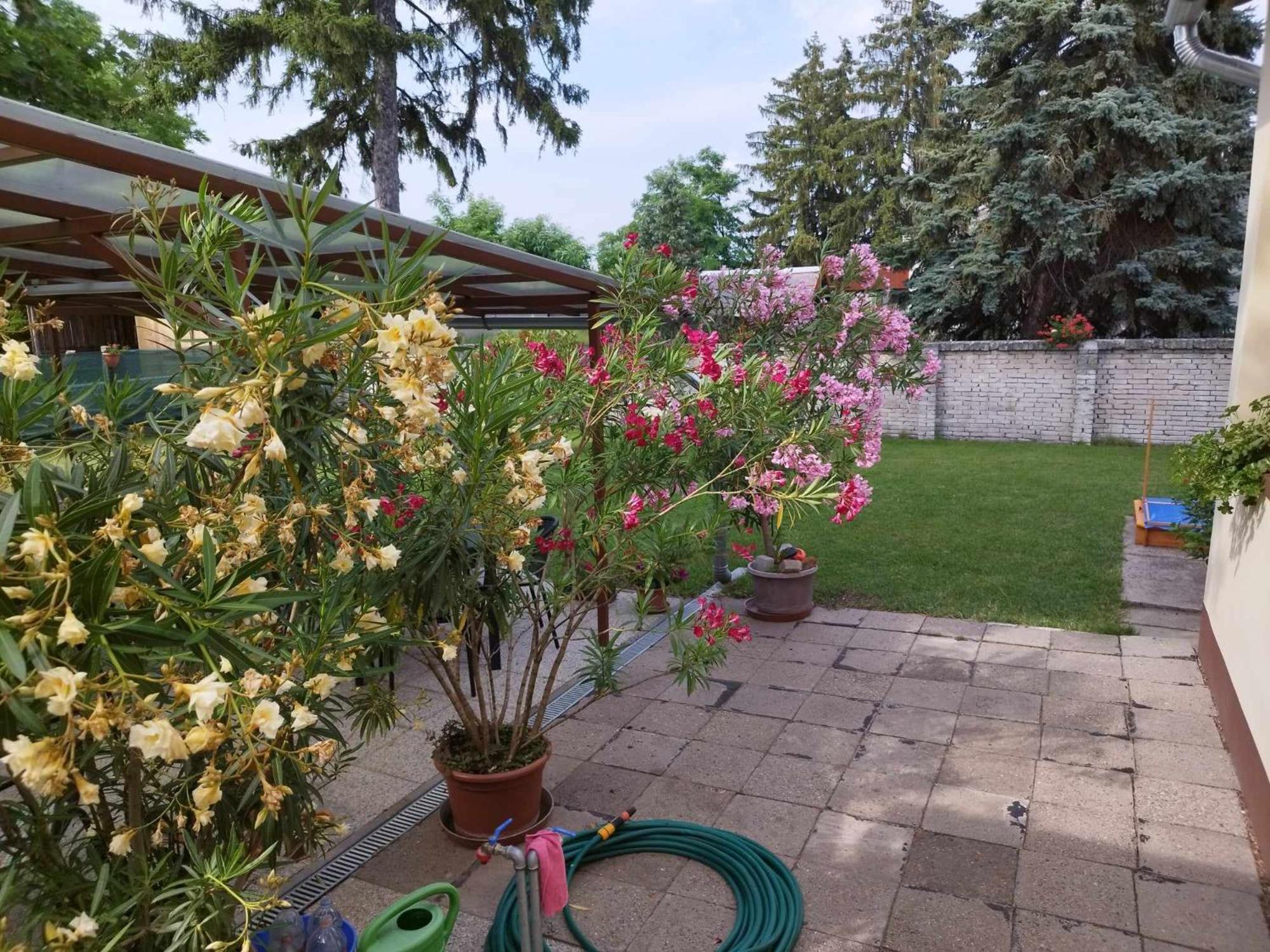 Tartos Szegfu Vendeghaz, Maganszallas Tazlar Exterior foto