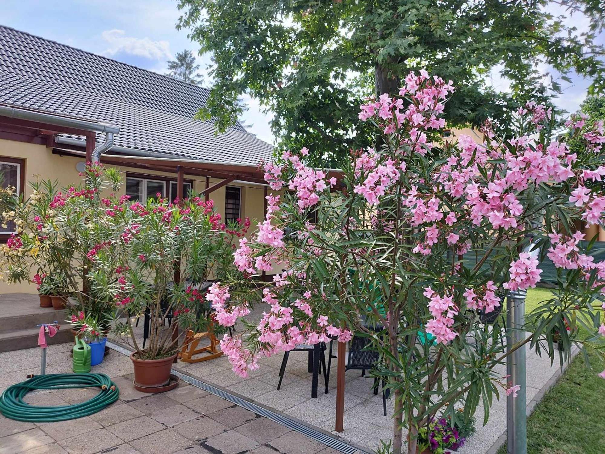 Tartos Szegfu Vendeghaz, Maganszallas Tazlar Exterior foto