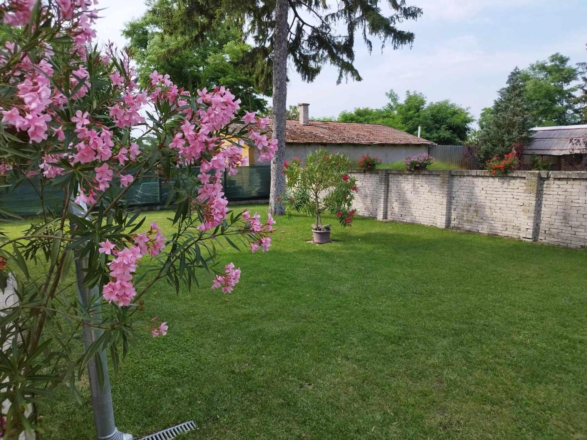 Tartos Szegfu Vendeghaz, Maganszallas Tazlar Exterior foto