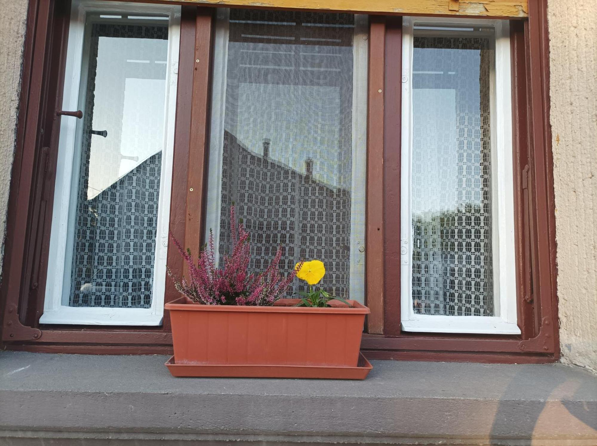 Tartos Szegfu Vendeghaz, Maganszallas Tazlar Exterior foto
